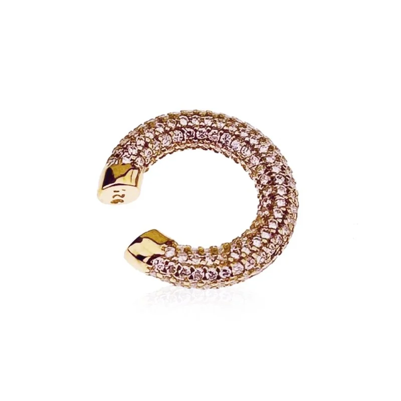 Taşlı Kıkırdak Küpe - 2